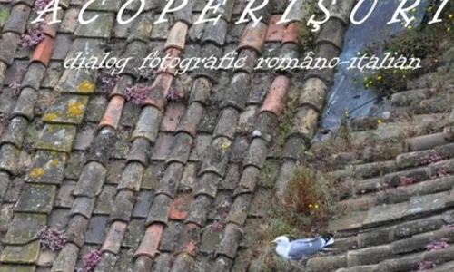 Lumea văzută de sus   Expozitia ACOPERIȘURI jpeg