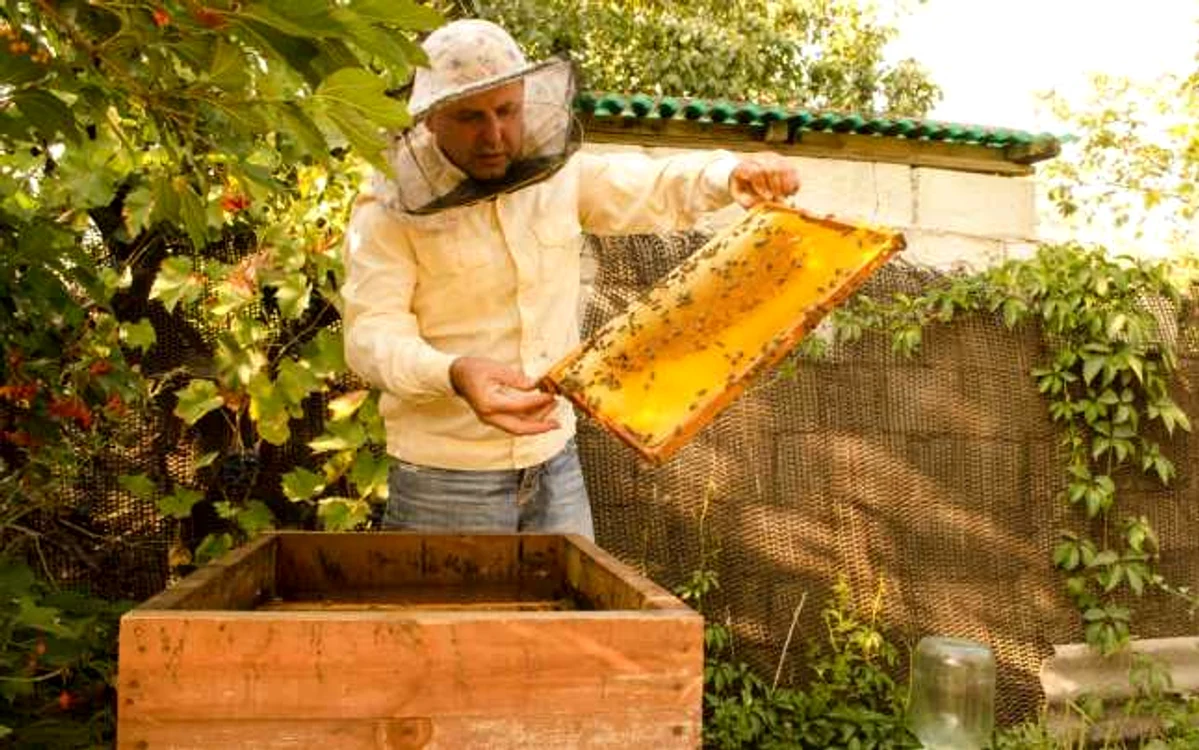 Proiectul de finanţare a apicultorilor va fi implementat în nordul ţării. FOTO Alexandru Tarlev