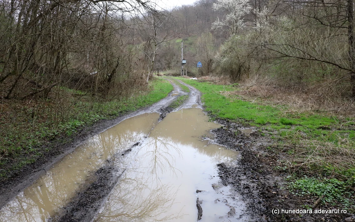 Gialacuta satul pustiu Longhin Topor, ultimul localnic Foto Daniel Guță (31) JPG