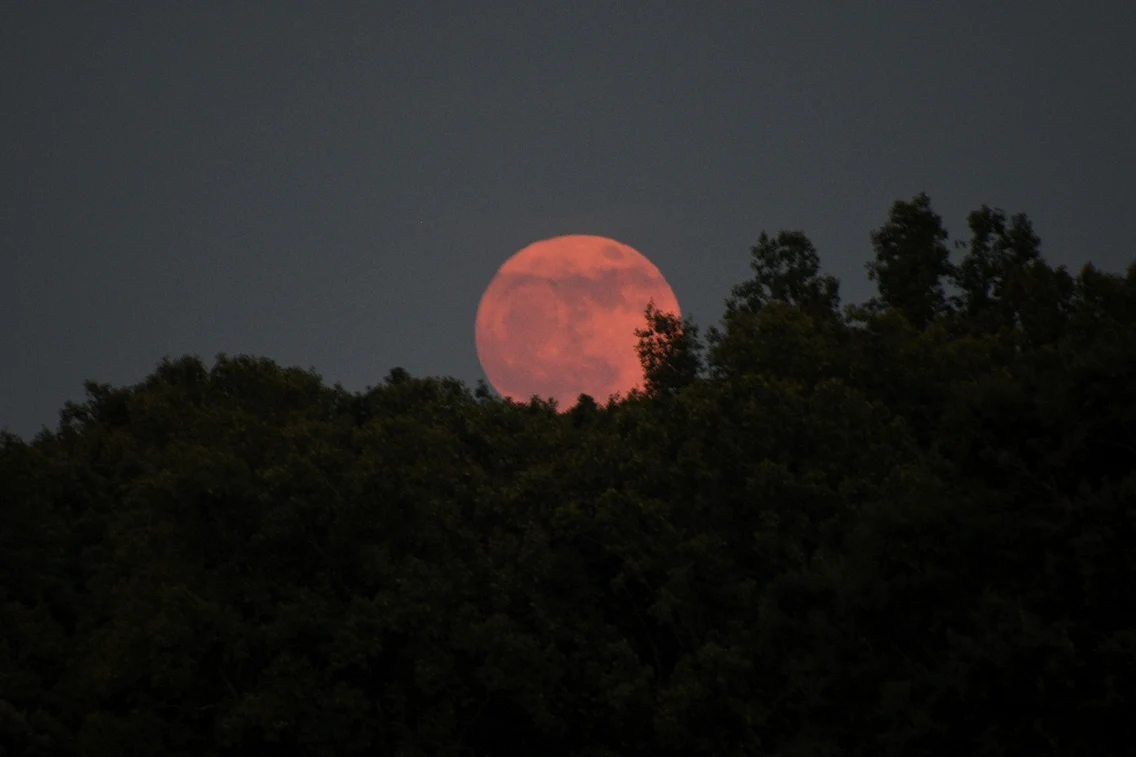 luna capsuna facebook Gordon Alen jpg