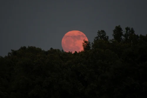 luna capsuna facebook Gordon Alen jpg