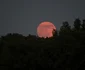 luna capsuna facebook Gordon Alen jpg
