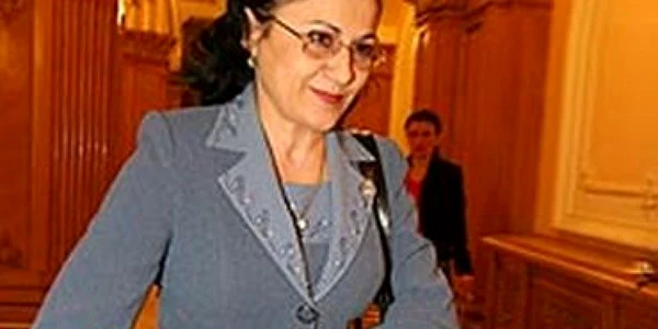 Andronescu, de acord cu Miclea în vederea finanţarii învăţământului preuniversitar privat