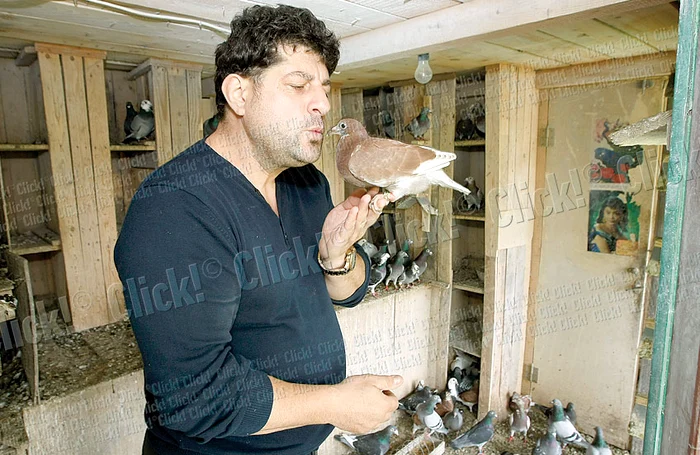 Lui Tavi Colen, porumbeii îi «înfoaie» conturile