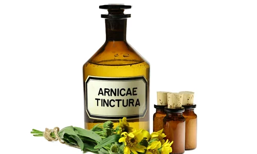 arnica jpg