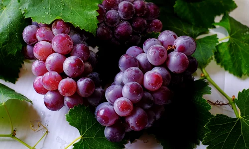 1 beneficiile strugurilor extrem de benefici pentru sanatatea noastra jpg jpeg
