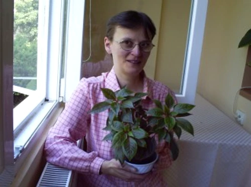 519f7718b2a2ae4a5c158a83b5460733 jpg jpeg