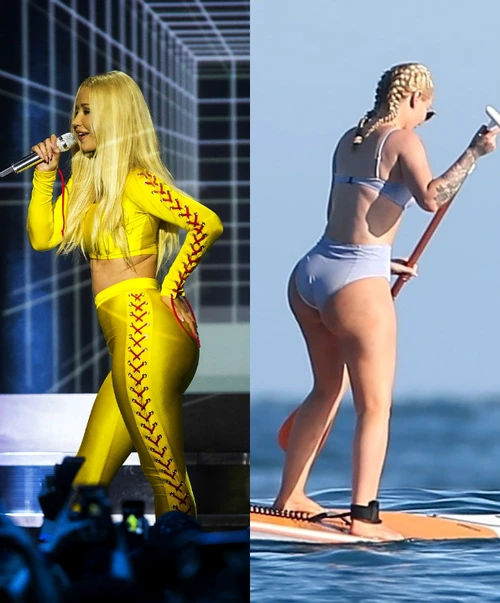 iggy colaj jpeg