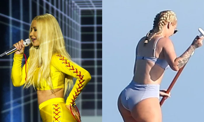 iggy colaj jpeg