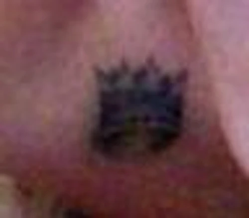 tatauj
