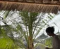 Hotel Zanzibar 2, Foto Mambo Hotels