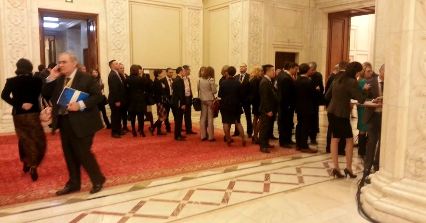 „Zona de networking era un somptuos spaţiu, dotat cu bufet şi cafea, pentru o ambianţă plăcută de discuţii”
