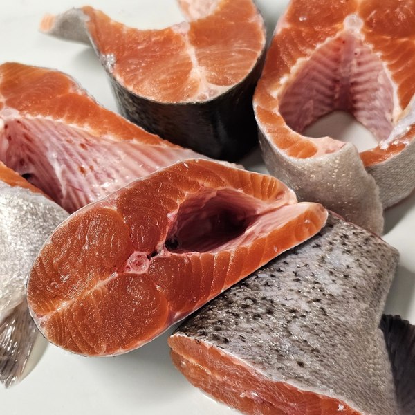 Păstrăvul curcubeu, noua specie adaptată la Marea Neagră. Cât costă kilogramul