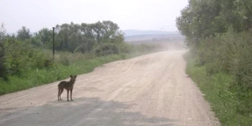 foto arhivă