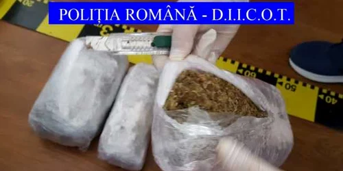 droguri canabis Galati