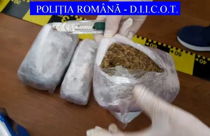 droguri canabis Galati