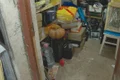 adapost jpg