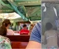 2 nicusor dan imagini vacanta mare munte concediu 722522 jpg jpeg