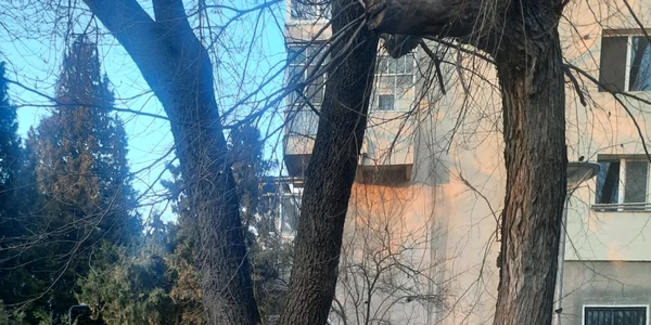 calarasi arborii care vor fi taiati au fost marcati FOTO faceb/Costin Mirescu
