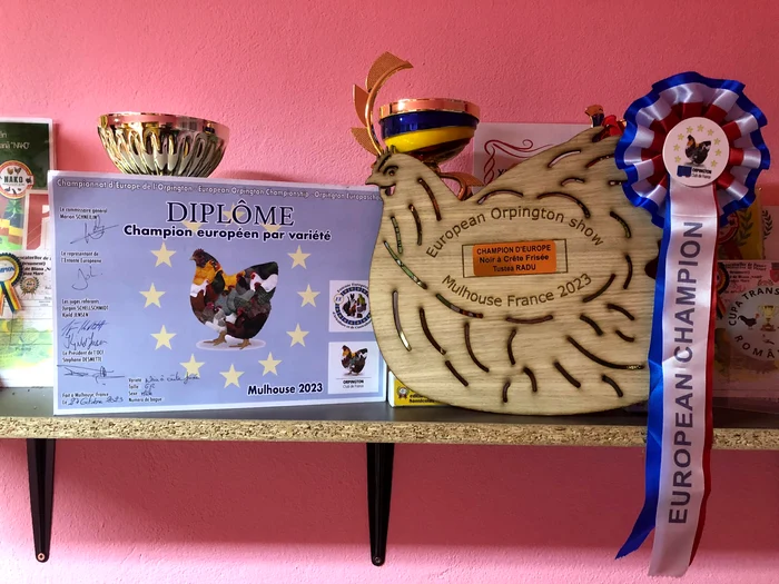 Trofeul FOTO arhivă personală