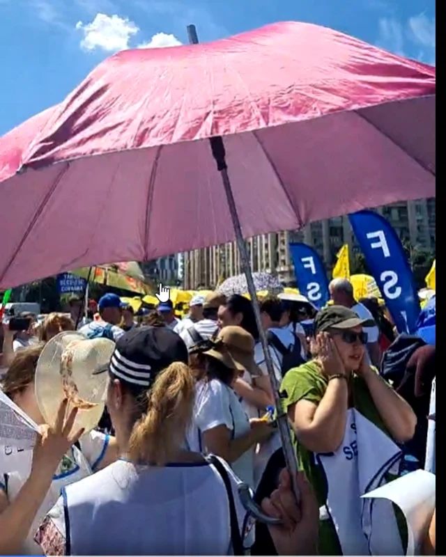 protest profesori 03 captura video png jpg