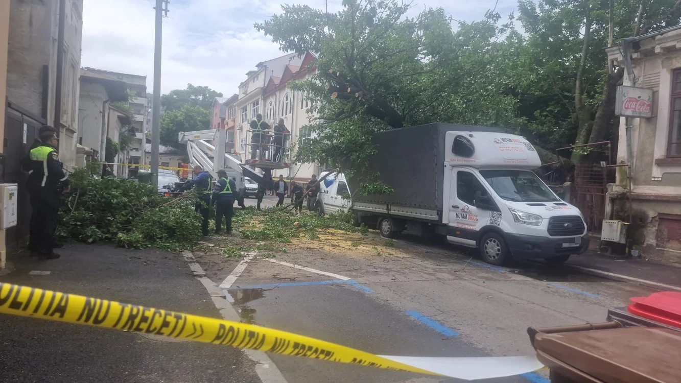 Copacul a avariat patru autovehicule parcate FOTO Brigada Rutieră