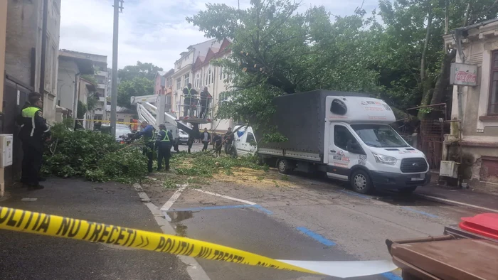 Copacul a avariat patru autovehicule parcate FOTO Brigada Rutieră