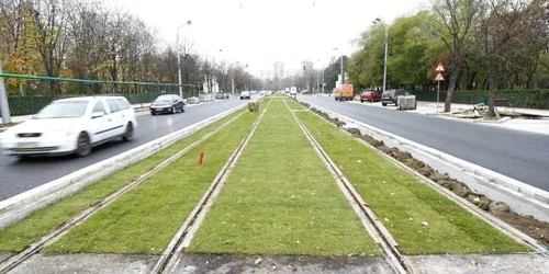 linie de tramvai verde