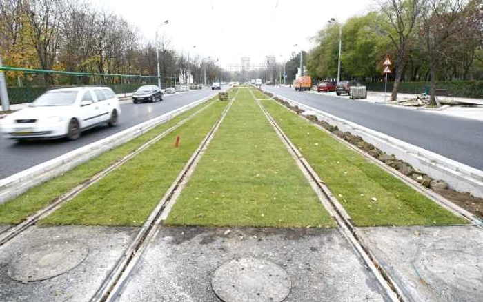 linie de tramvai verde