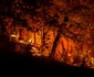 Incendiu de proporții pe Valea Oltului în comuna Racovița Vâlcea Foto Daniel Mîrlea