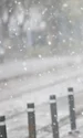 iarna 2019 ninsoare slaba vremea meteo jpeg