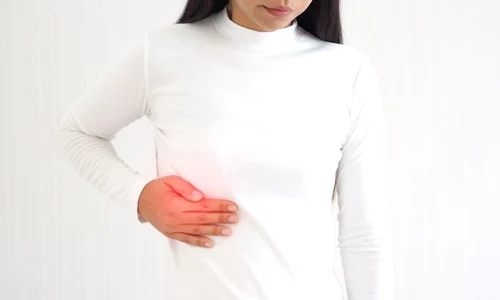 1 shutterstock 1571341468 jpg jpeg