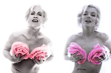 john malkovich iconic portraits recreations sandro miller 13 jpeg