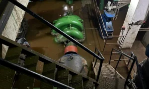 439472728 923339792915902 5736137712490660858 n e1713931499872 webp