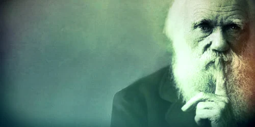 charles darwin jpeg