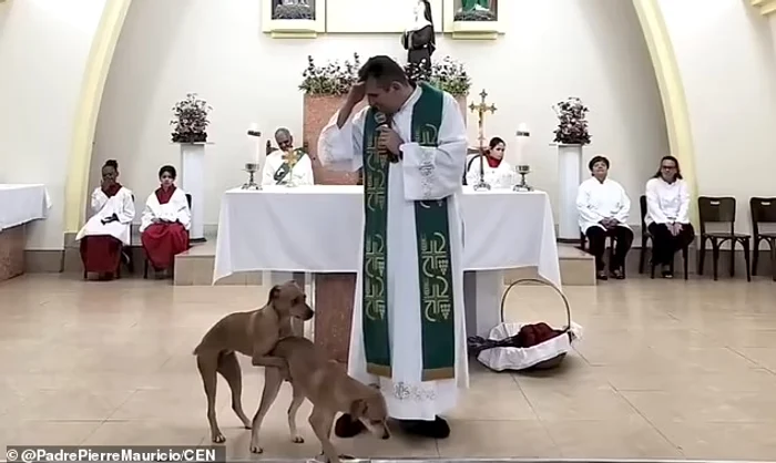 Părintele a încercat să-și păstreze seriozitatea în timpul slujbei FOTO: Padre Pierre Maurício