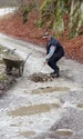 Localnicii care s au săturat să aştepte intervenţia autorităţilor pe un drum judeţean din Munţii Orăştiei au ieşit cu roaba şi lopata pentru a l repara jpeg