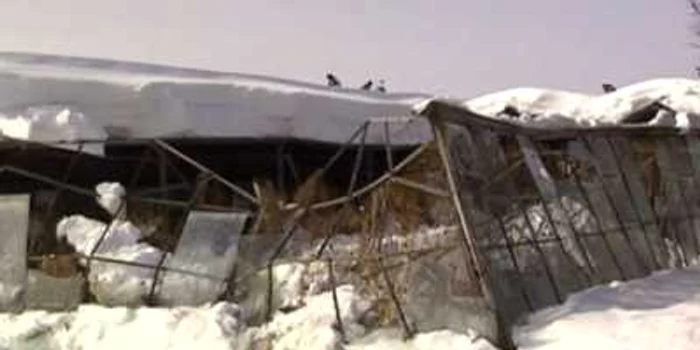 Serele au fost distruse în proporții mari