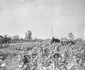 historia ro undefined jpeg