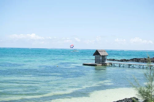 10262255 10153207158206479 1026298951314332933 n jpeg