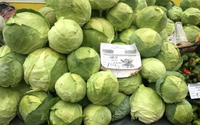 Prima varză românească a plecat spre pieţele din toată ţara