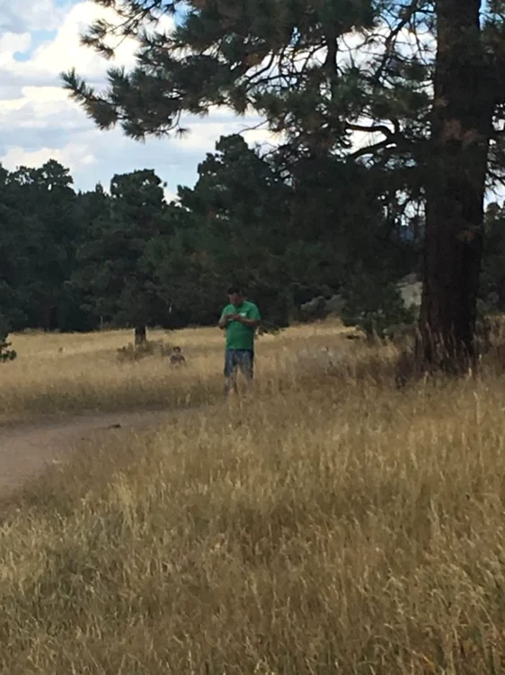 Apariția fantomatică seamănă cu un copil, dar iarba nu e suficient de înaltă pentru a-l acoperi