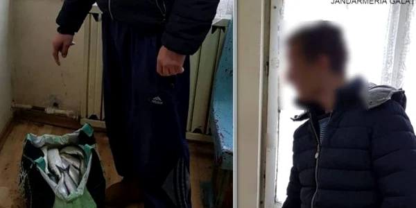 Herigul oferit drept scrumbie şi falsificatorul de peşte FOTO IJJ Galaţi