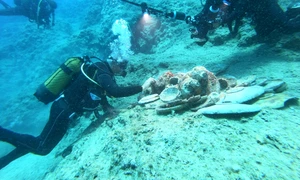 turcia epava vase jpg