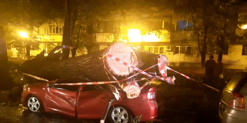 Copac căzut peste o mașină in Galați Foto Radio Galați   facebook jpg