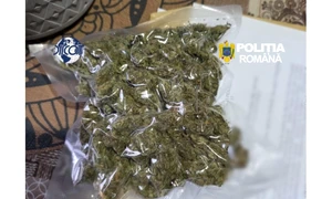 FOTO: Poliția Română