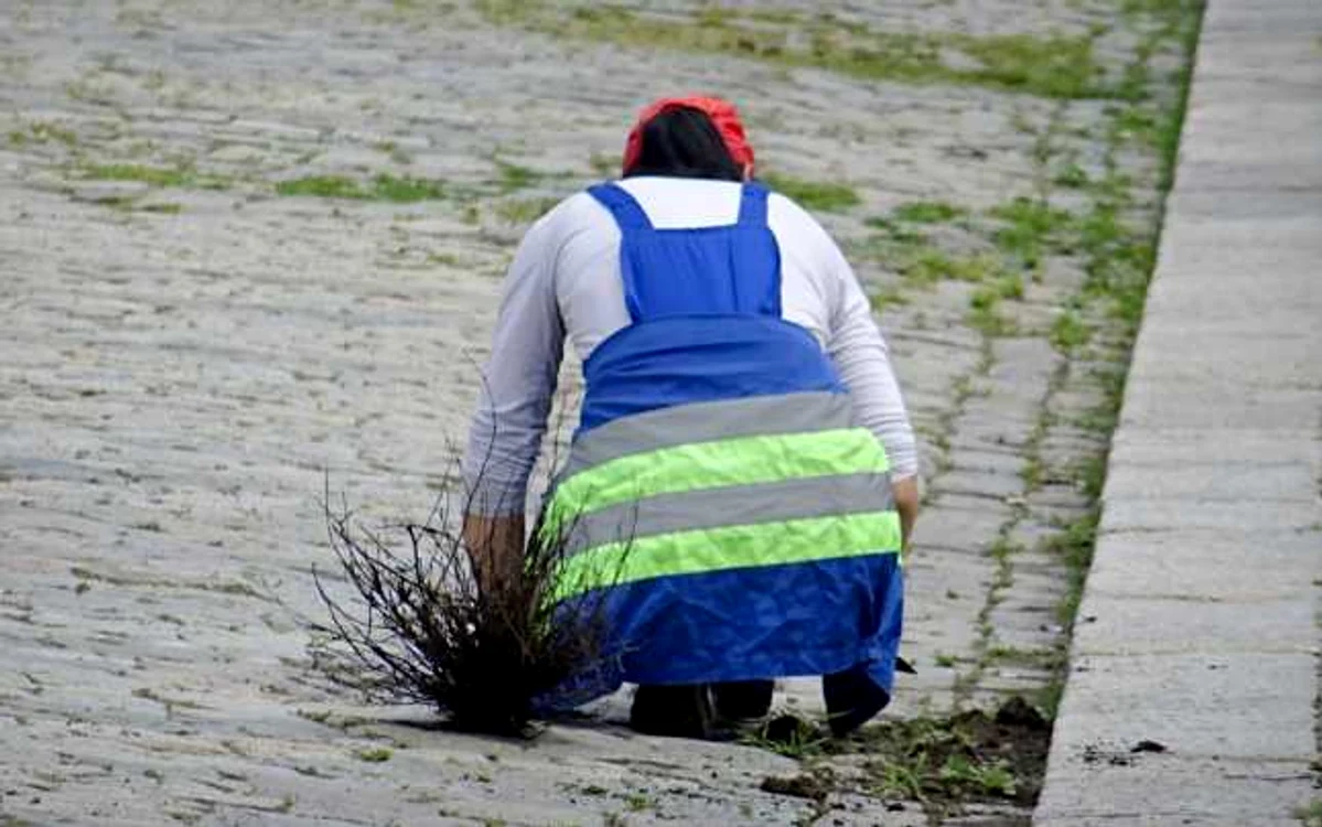 FOTO Florentin Coman