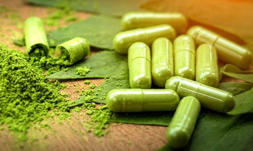 1 shutterstock 2018409119 jpg jpeg