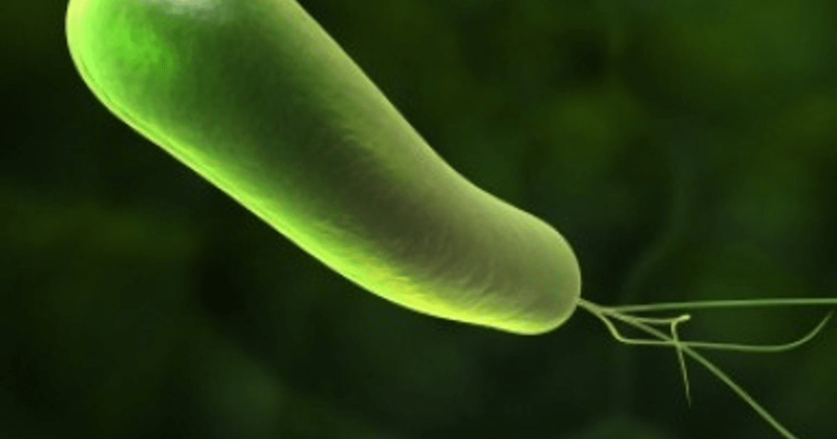 Ce nu ştiai despre infecţia cu Helicobacter pylori