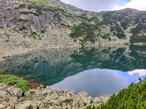 Rezervația Științifică Gemenele din Retezat  Foto Ottmar Trașcă  Facebook (10) jpg